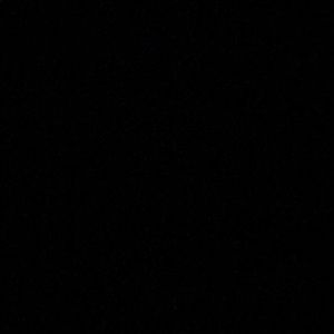 Meet your Posher, Cody